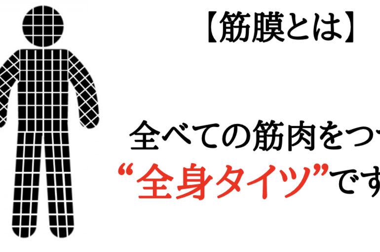 スクワットをすると肩甲骨が痛い L その原因を徹底解説