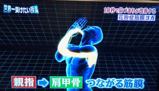 image_123650291 (5).JPG