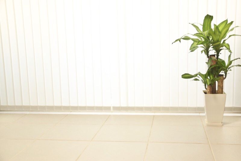 2019-08-03 15-51-56.jpg